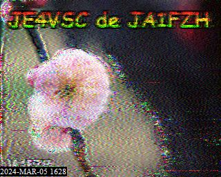 202403051628