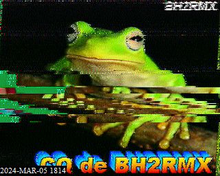 202403051814