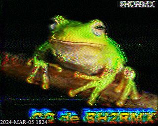 202403051824