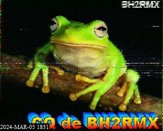 202403051831