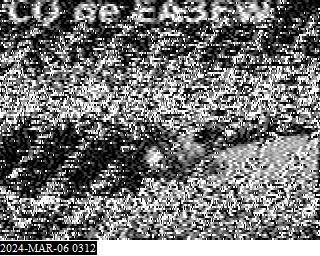 202403060312