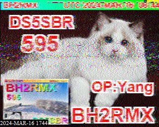 202403161744