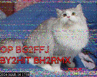 202403161758