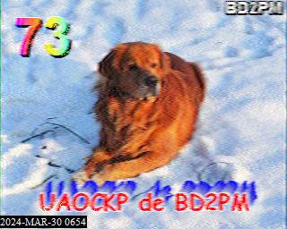 202403300654
