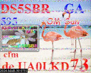 202403300731