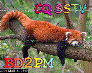 202403310849