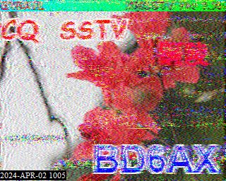 202404021005