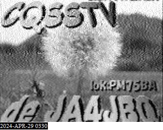 202404290330