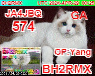 202404290825