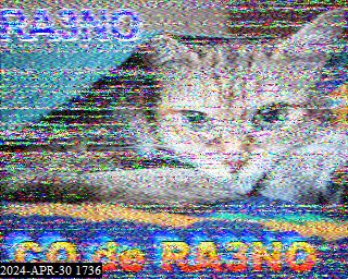202404301736