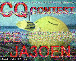 202408060828