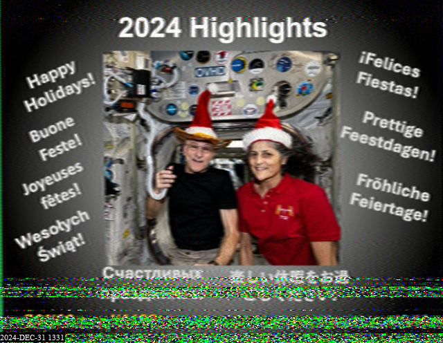 202412311331