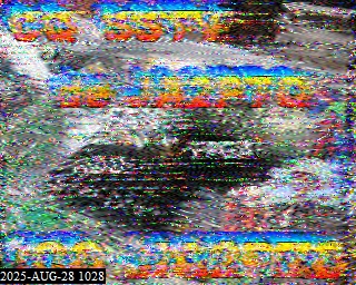 202508281028