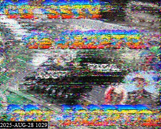 202508281029