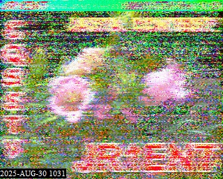 202508301031