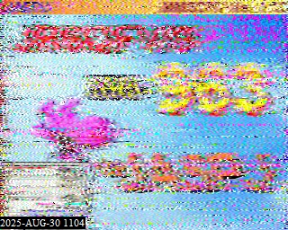 202508301104