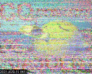202508310651