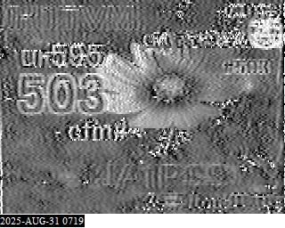 202508310719