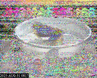 202508310817