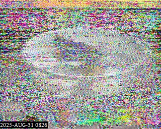 202508310826