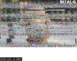 202601140605