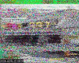 202608230659