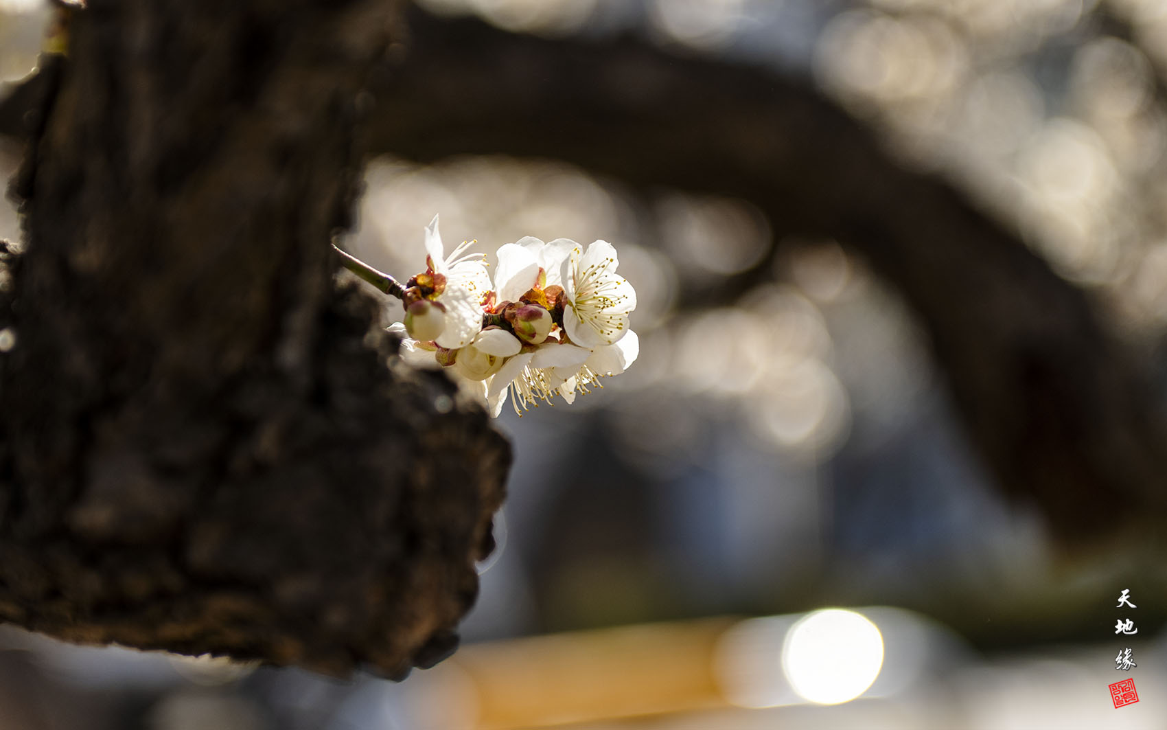   | PHOTO BY : 천지연  |