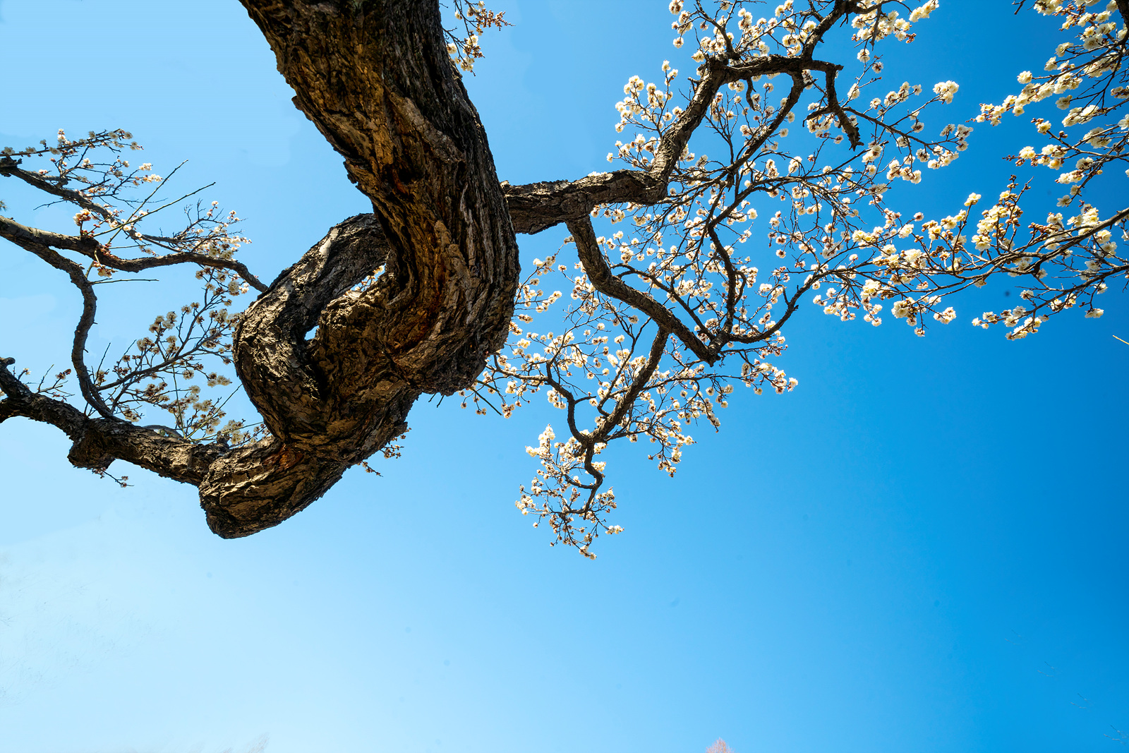   | PHOTO BY : 실상/김익택  |