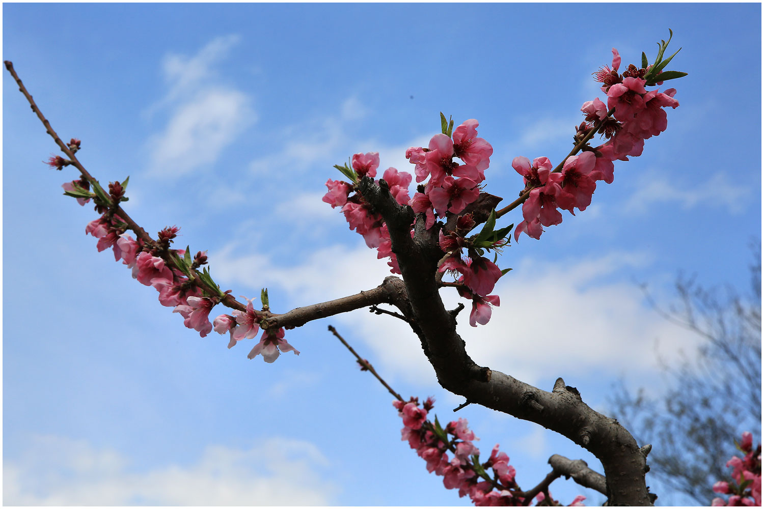   | PHOTO BY : 몰운대/조태열  |