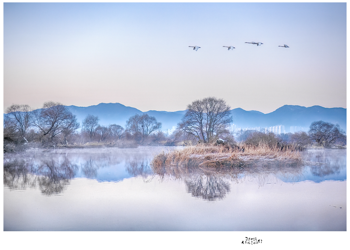 PHOTO BY Kwon Young Woo | NIKON D850 | 2024:01:14 07:28:12 | ISO-640 | 1/400 sec | f 4 | 60 mm | EV=-0.7 | ● WIDTH:1326 pixels  HEIGHT:947 pixels