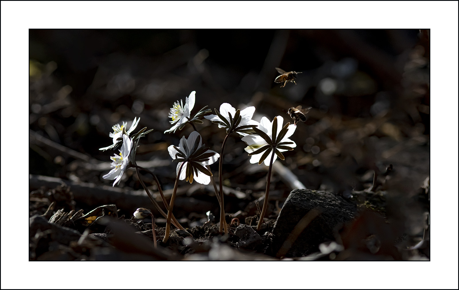   | PHOTO BY : 삿갓/정봉식  |