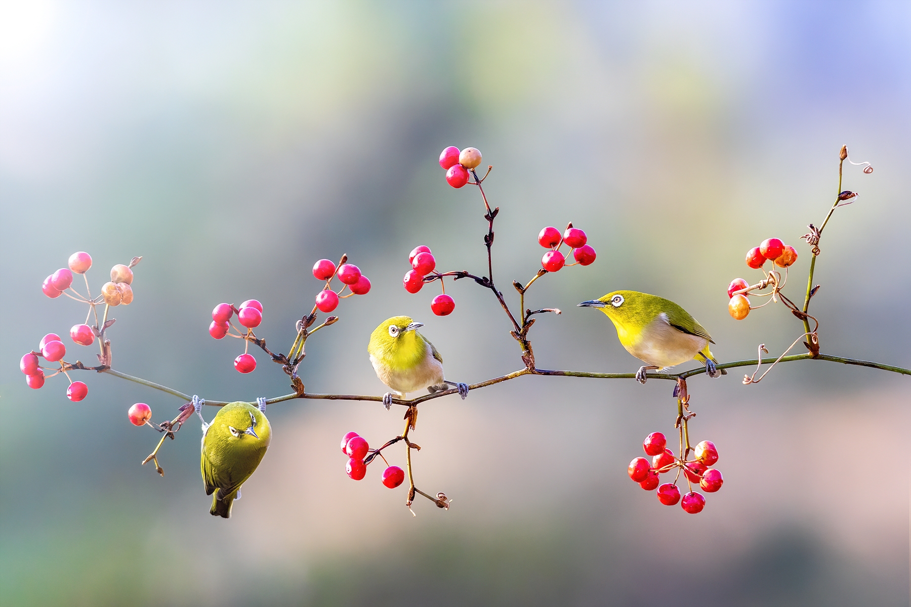   | PHOTO BY : 조현래  |