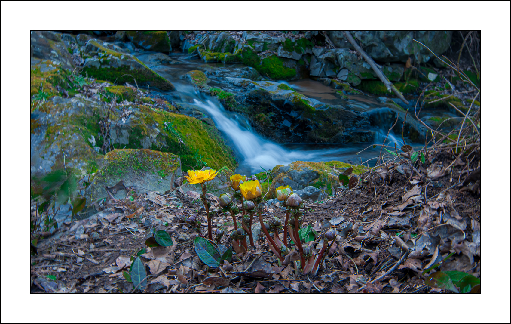   | PHOTO BY : 삿갓/정봉식  |
