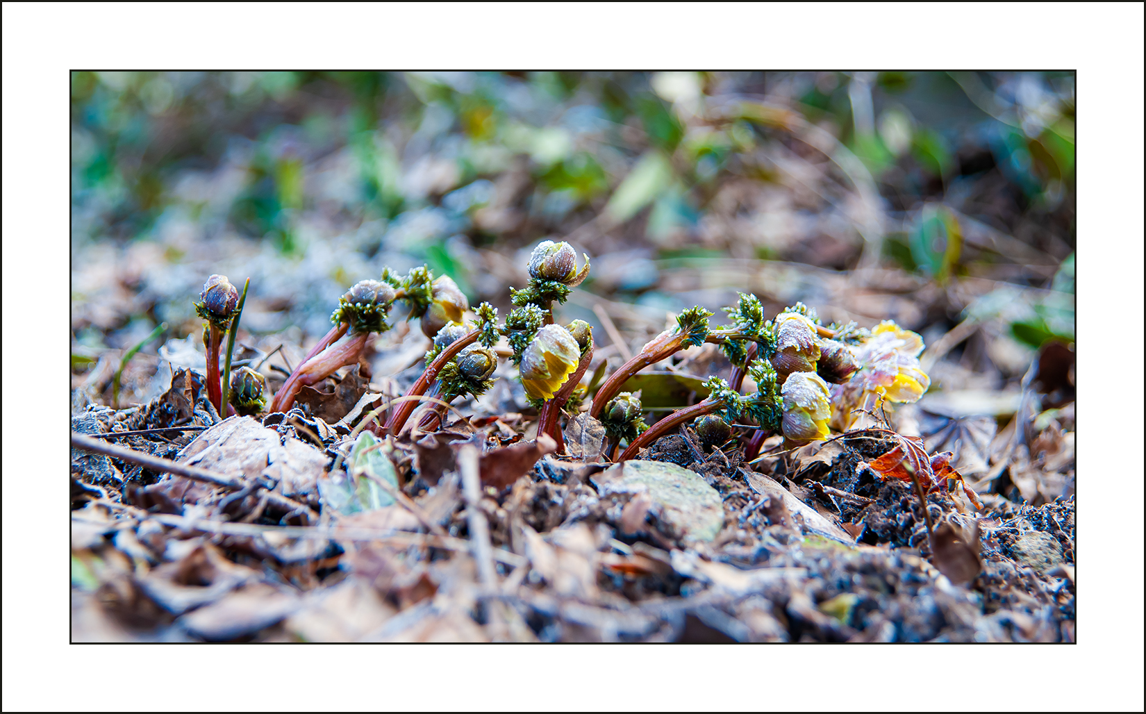   | PHOTO BY : 삿갓/정봉식  |