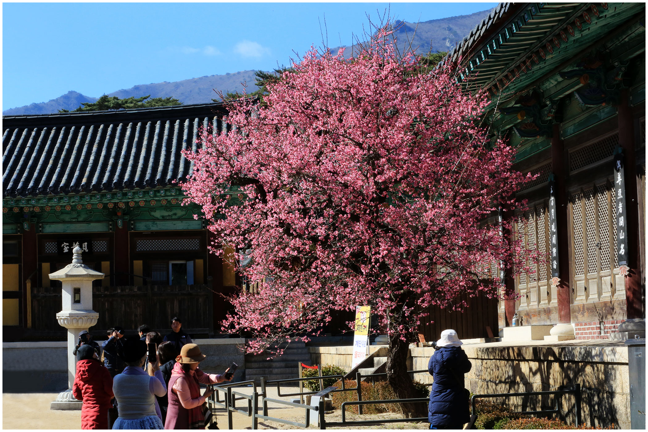   | PHOTO BY : 몰운대/조태열  |