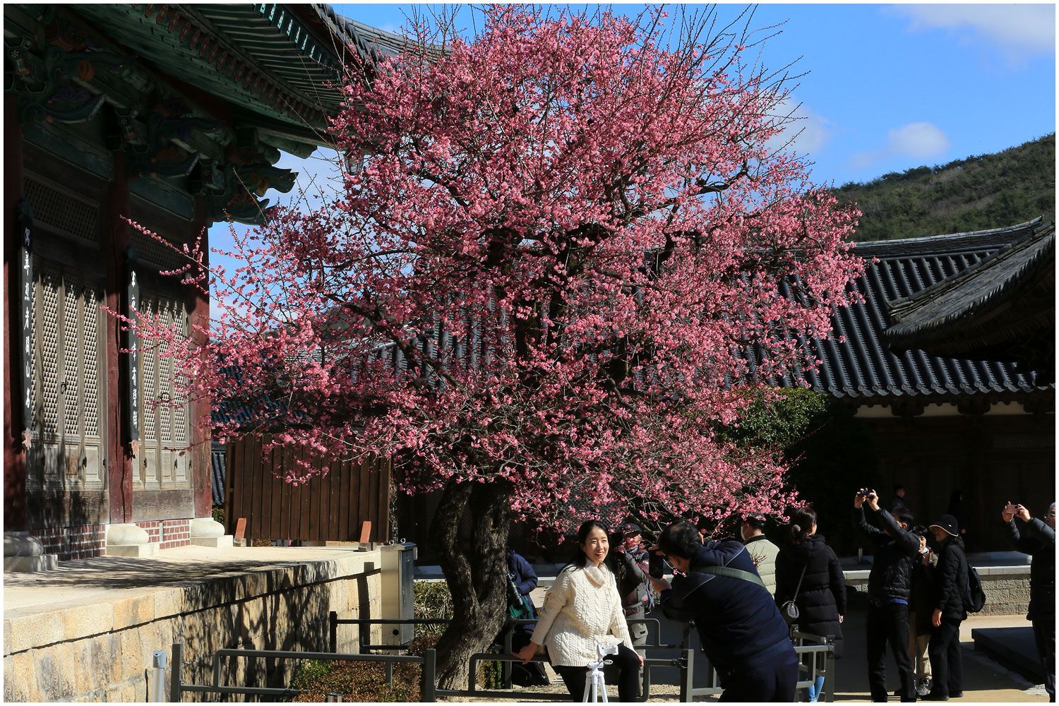   | PHOTO BY : 몰운대/조태열  |