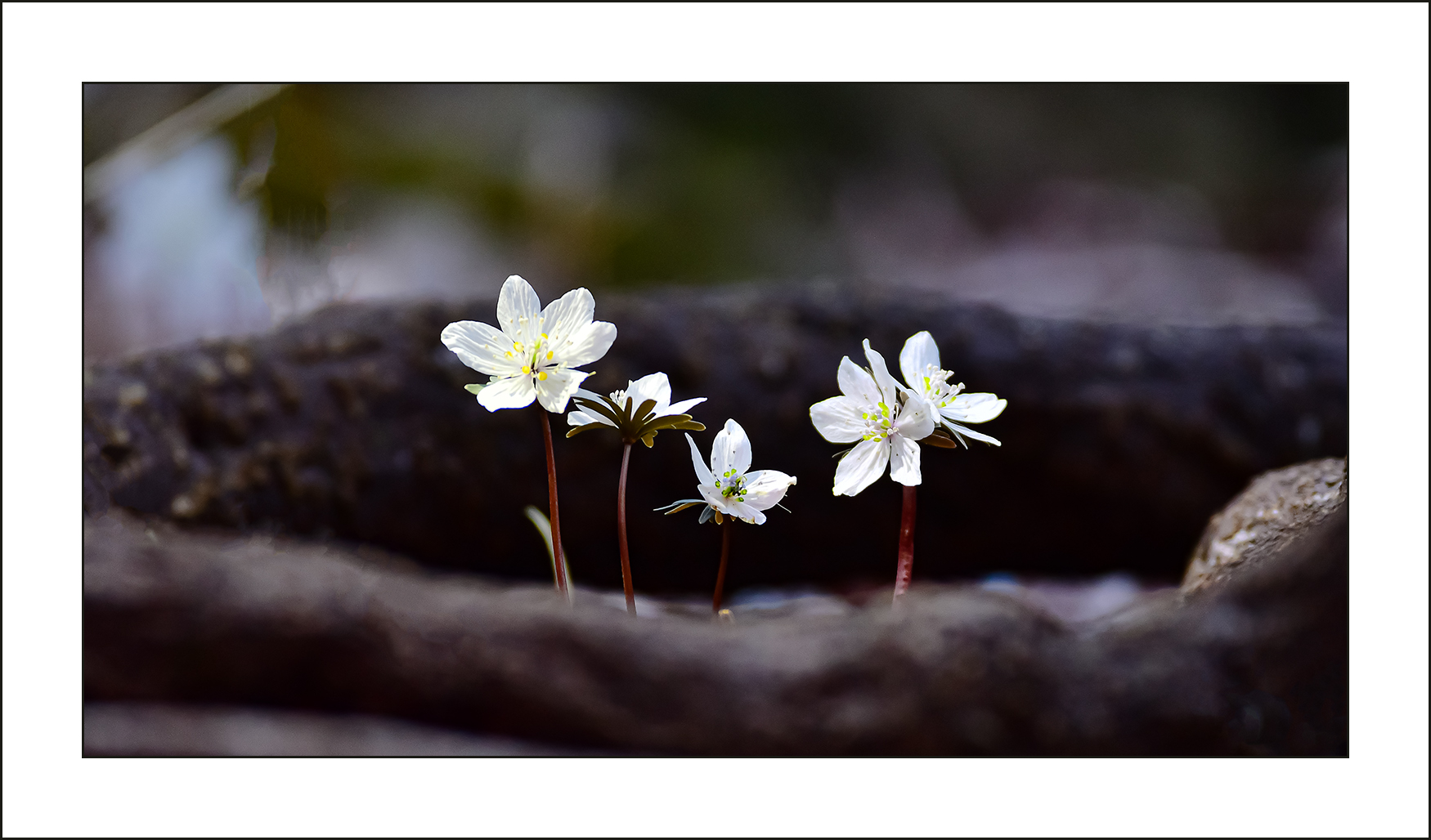   | PHOTO BY : 삿갓/정봉식  |