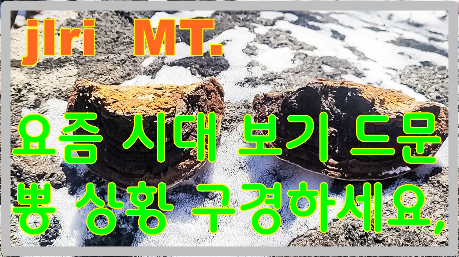   | PHOTO BY : 지리산도사/김종관  |