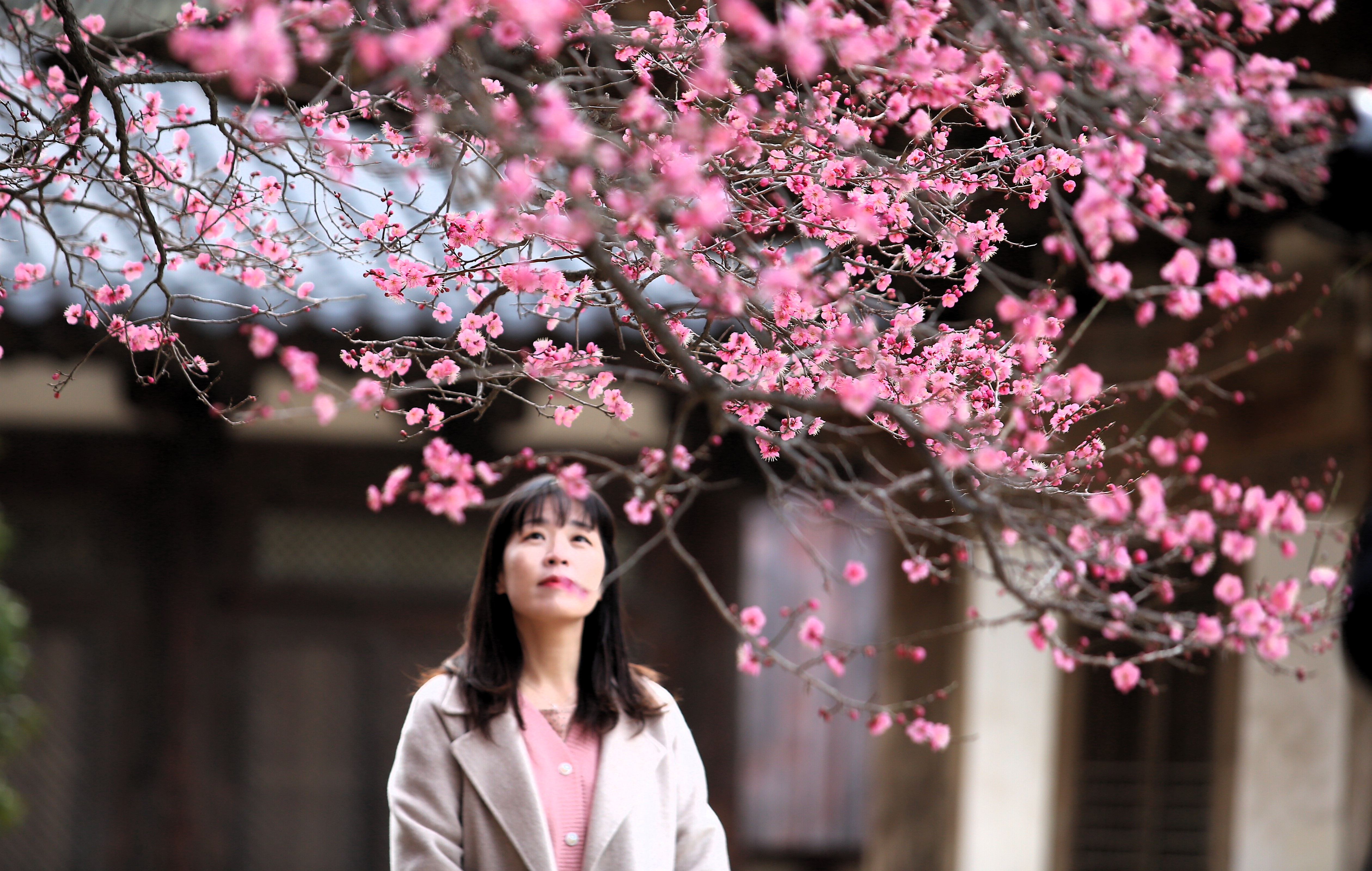 PHOTO BY  | Canon EOS 5D Mark III | 2024:02:16 07:54:58 | ISO-400 | 1/200 sec | f 3.5 | 195 mm | EV=0 | ● WIDTH:  HEIGHT: