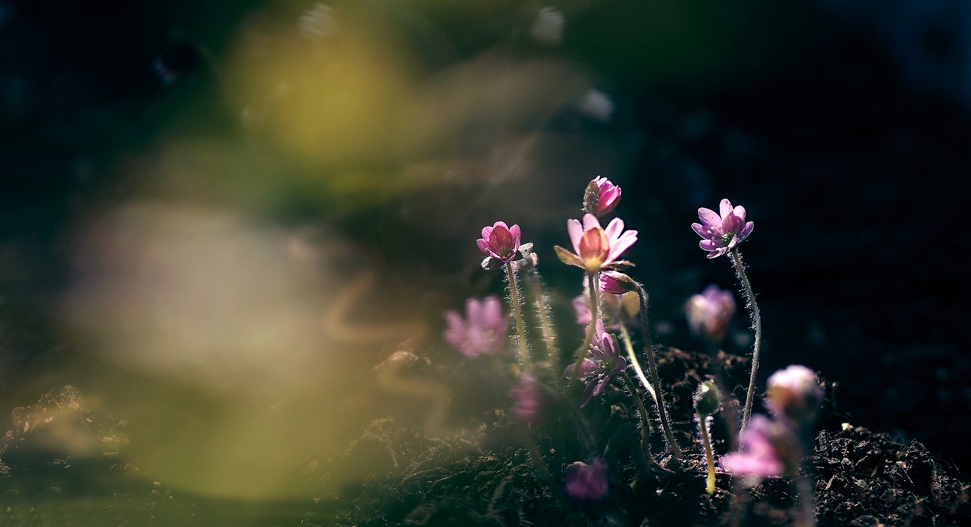   | PHOTO BY : 南松  |