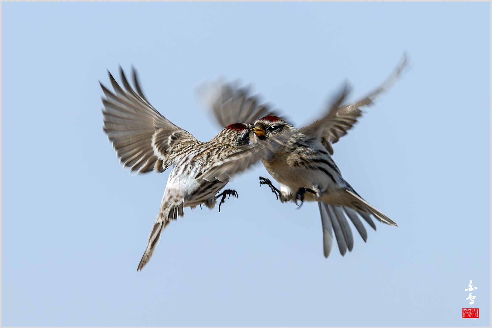 PHOTO BY  | NIKON Z 9 | 2024:02:16 11:54:43 | ISO-400 | 1/1250 sec | f 8 | 600 mm | EV=1 | ● WIDTH:1700 pixels  HEIGHT:1133 pixels
