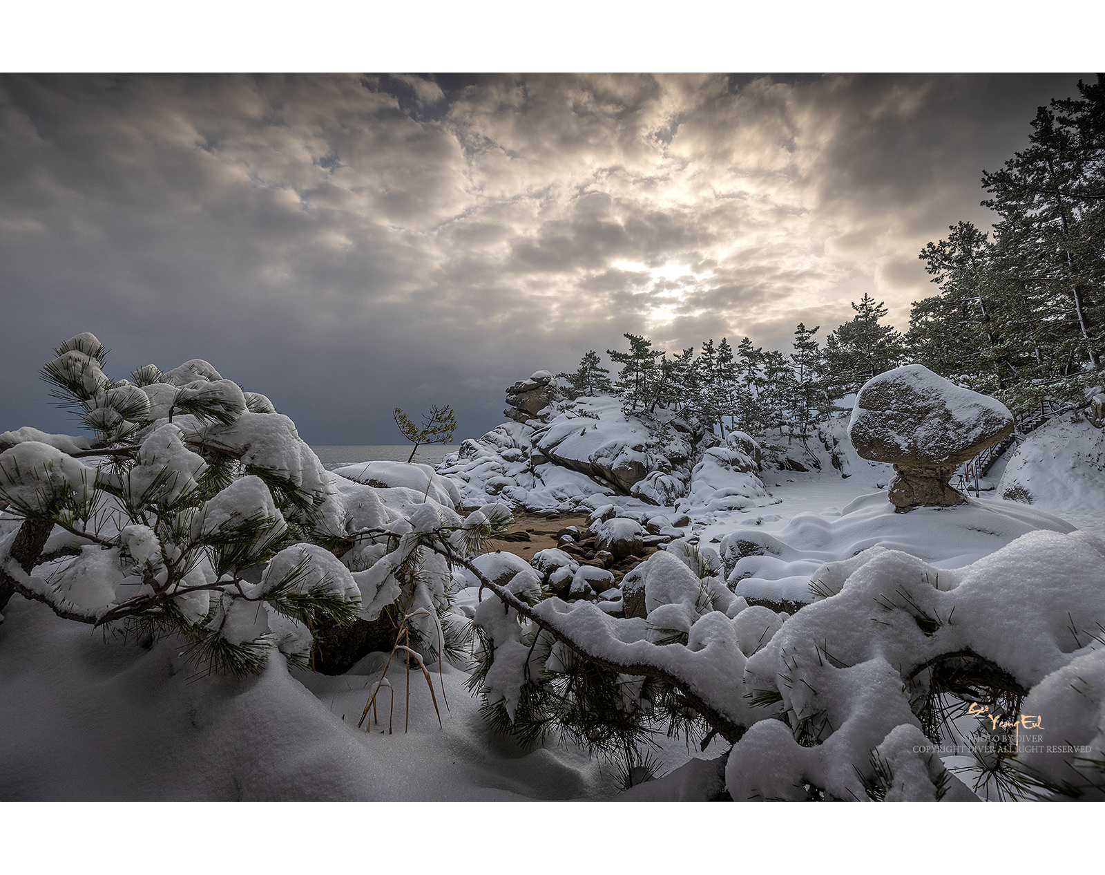 PHOTO BY  | Canon EOS R5 | 2024:02:23 08:42:25 | ISO-100 | 1/320 sec | f 11 | 15 mm | EV=0 | ● WIDTH:1600 pixels  HEIGHT:1266 pixels