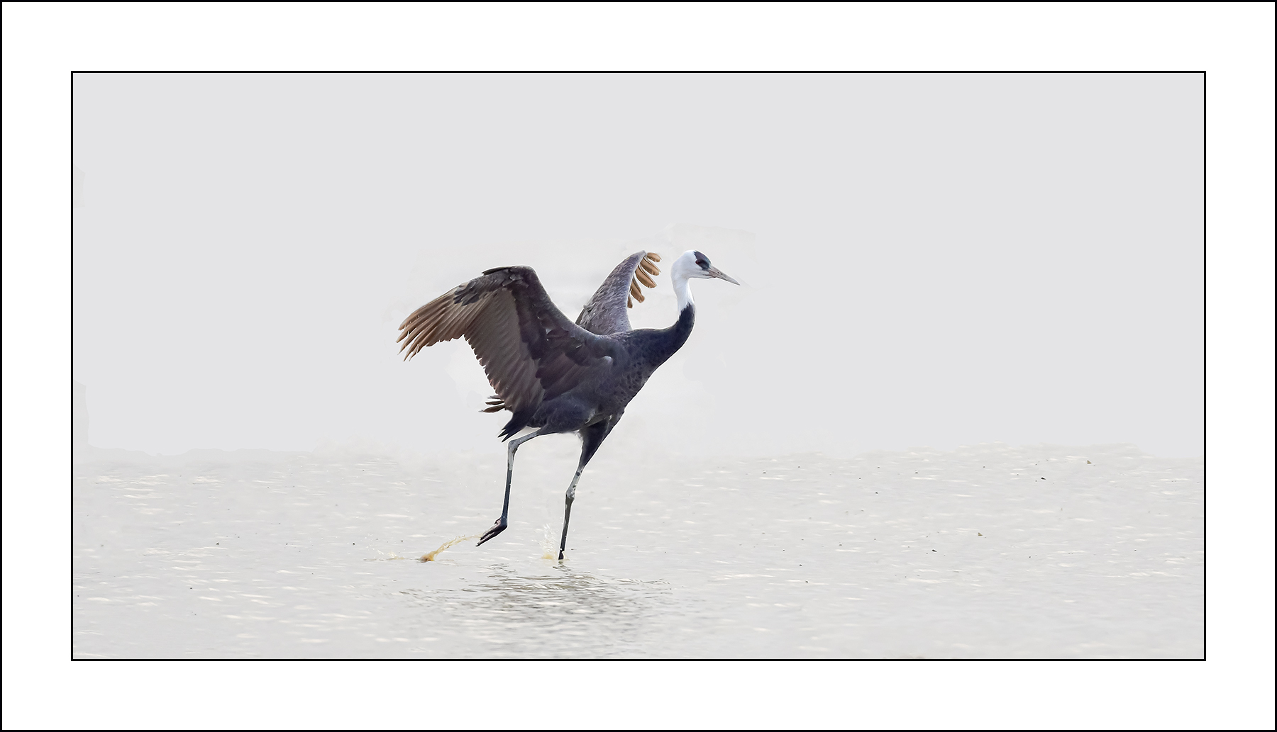   | PHOTO BY : 삿갓/정봉식  |