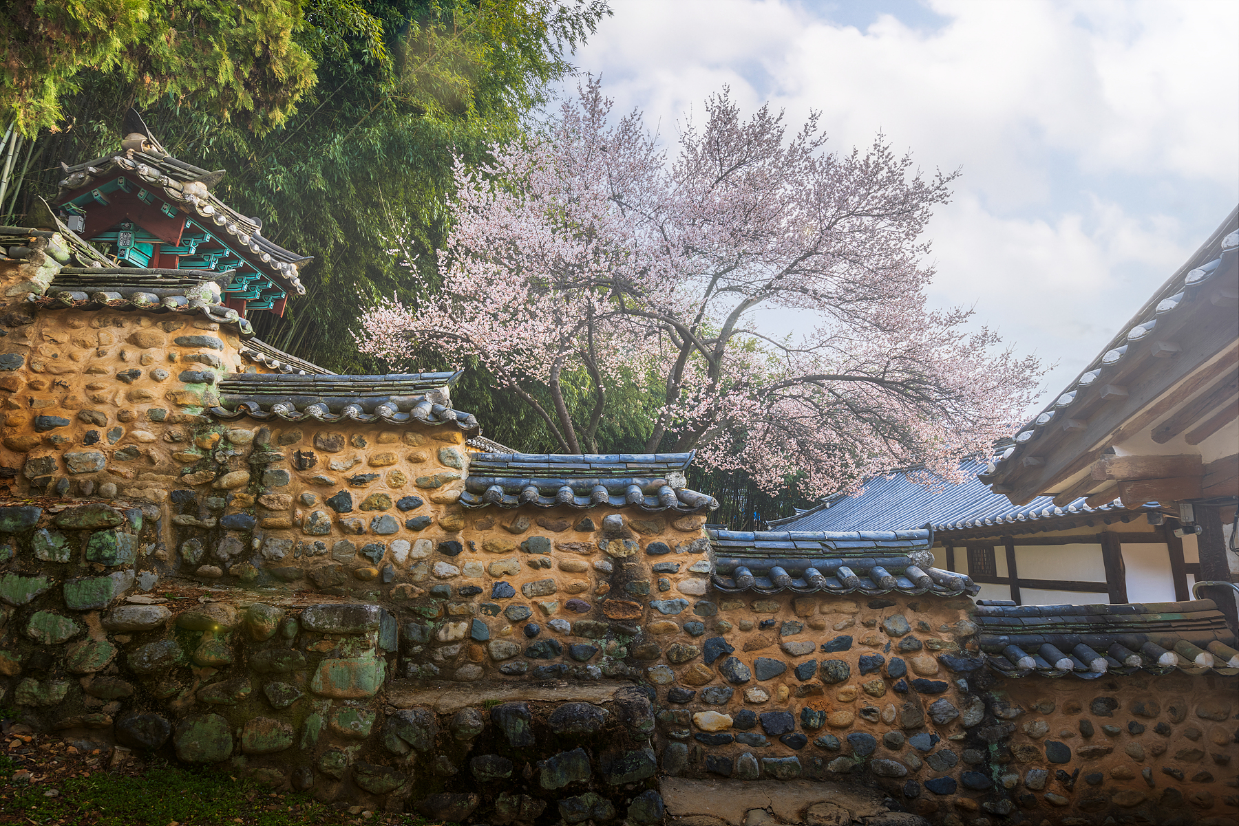  | PHOTO BY : 조현래  |