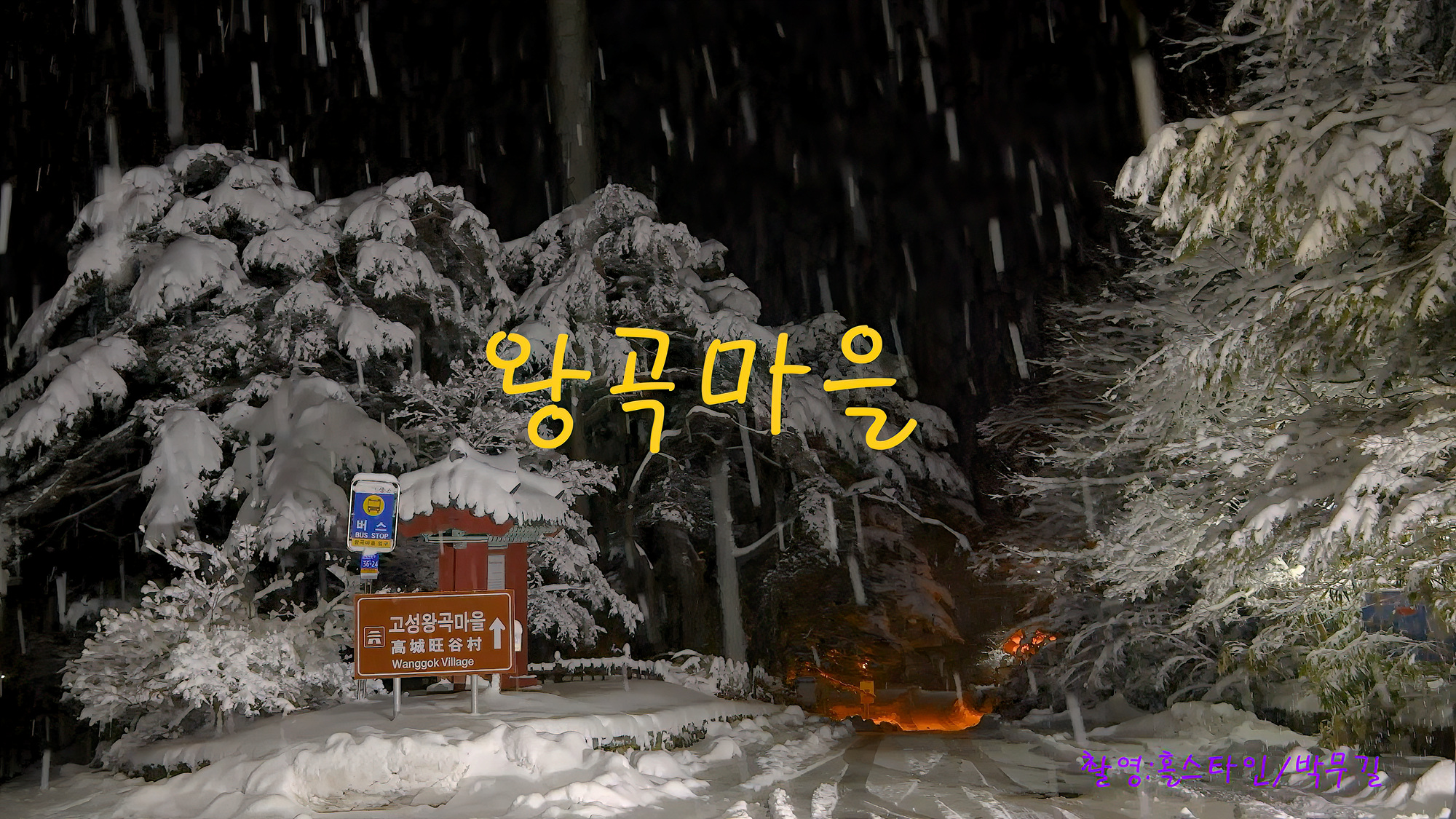   | PHOTO BY : 홀스타인/박무길  |