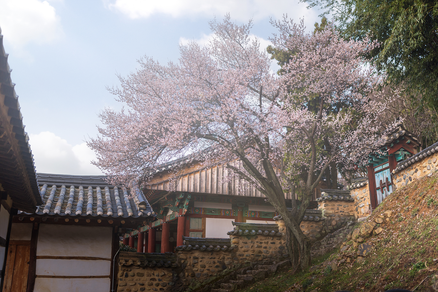   | PHOTO BY : 조현래  |