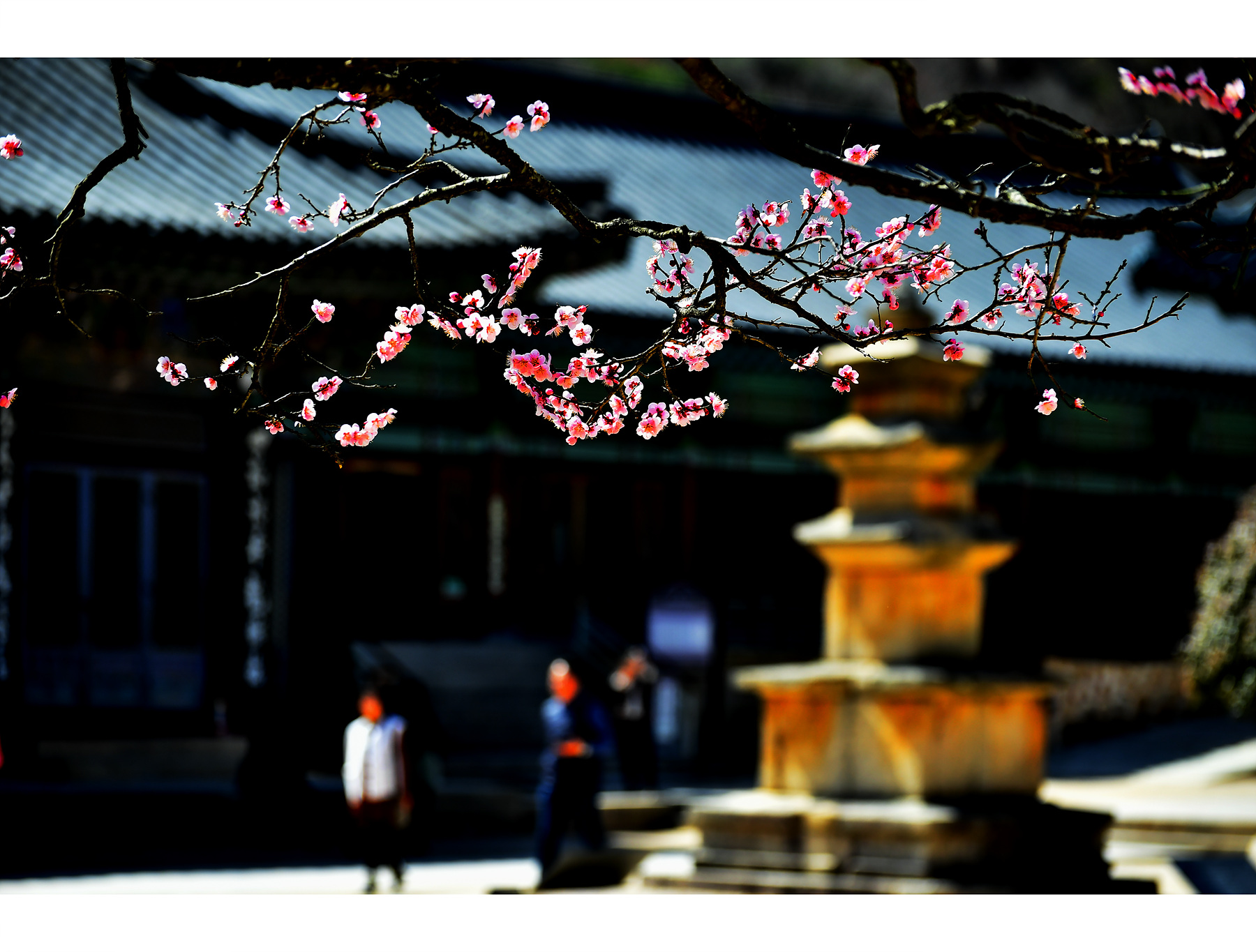   | PHOTO BY : 함월  |