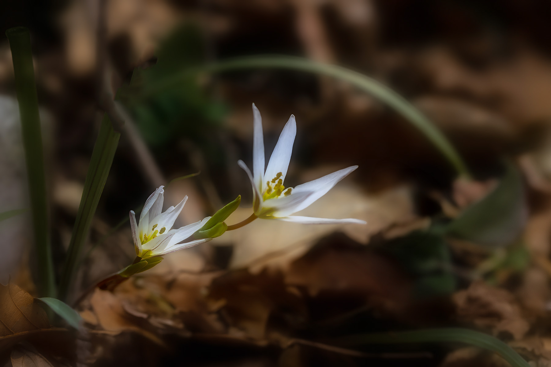   | PHOTO BY : 발전 박용식  |