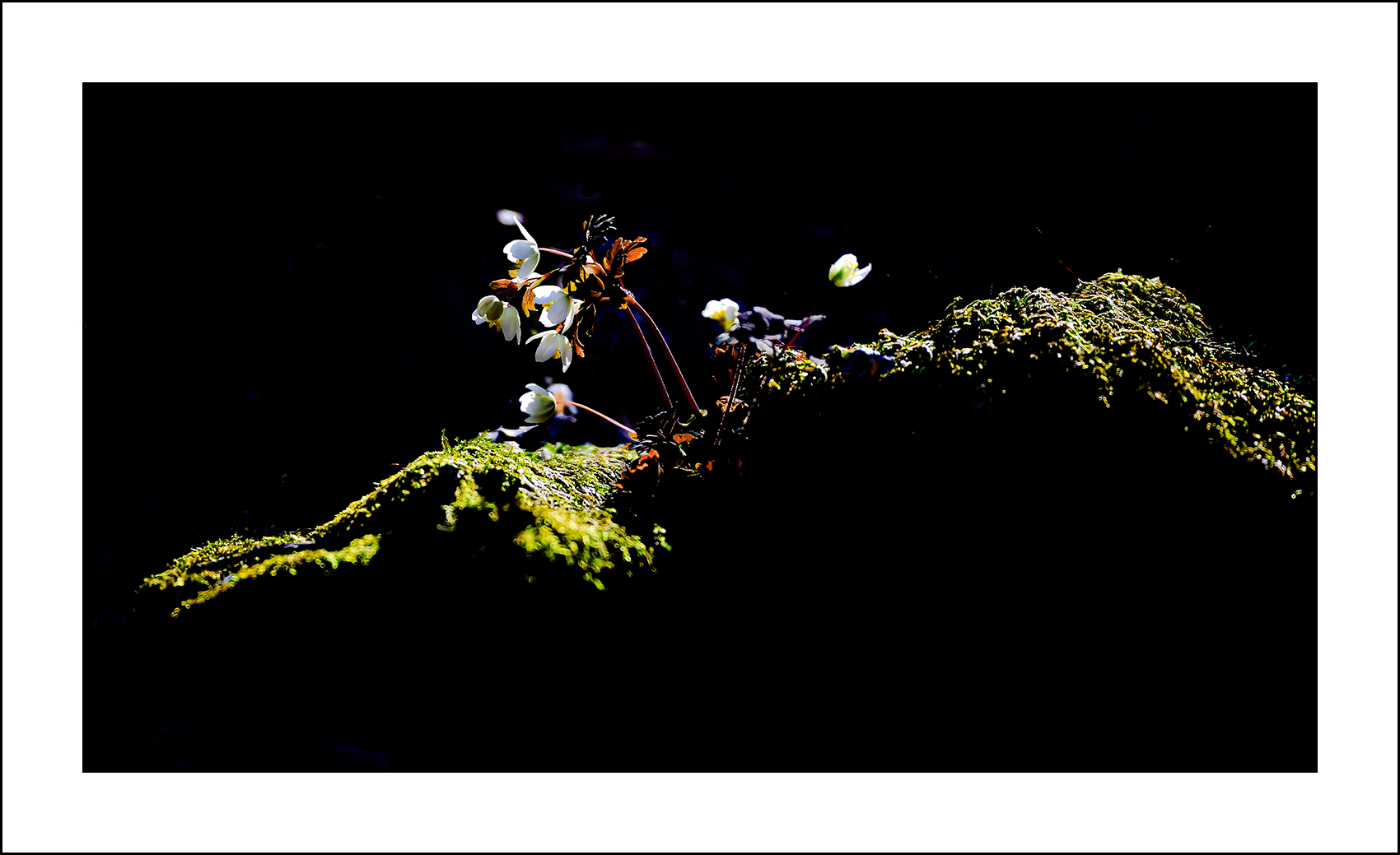   | PHOTO BY : 삿갓/정봉식  |