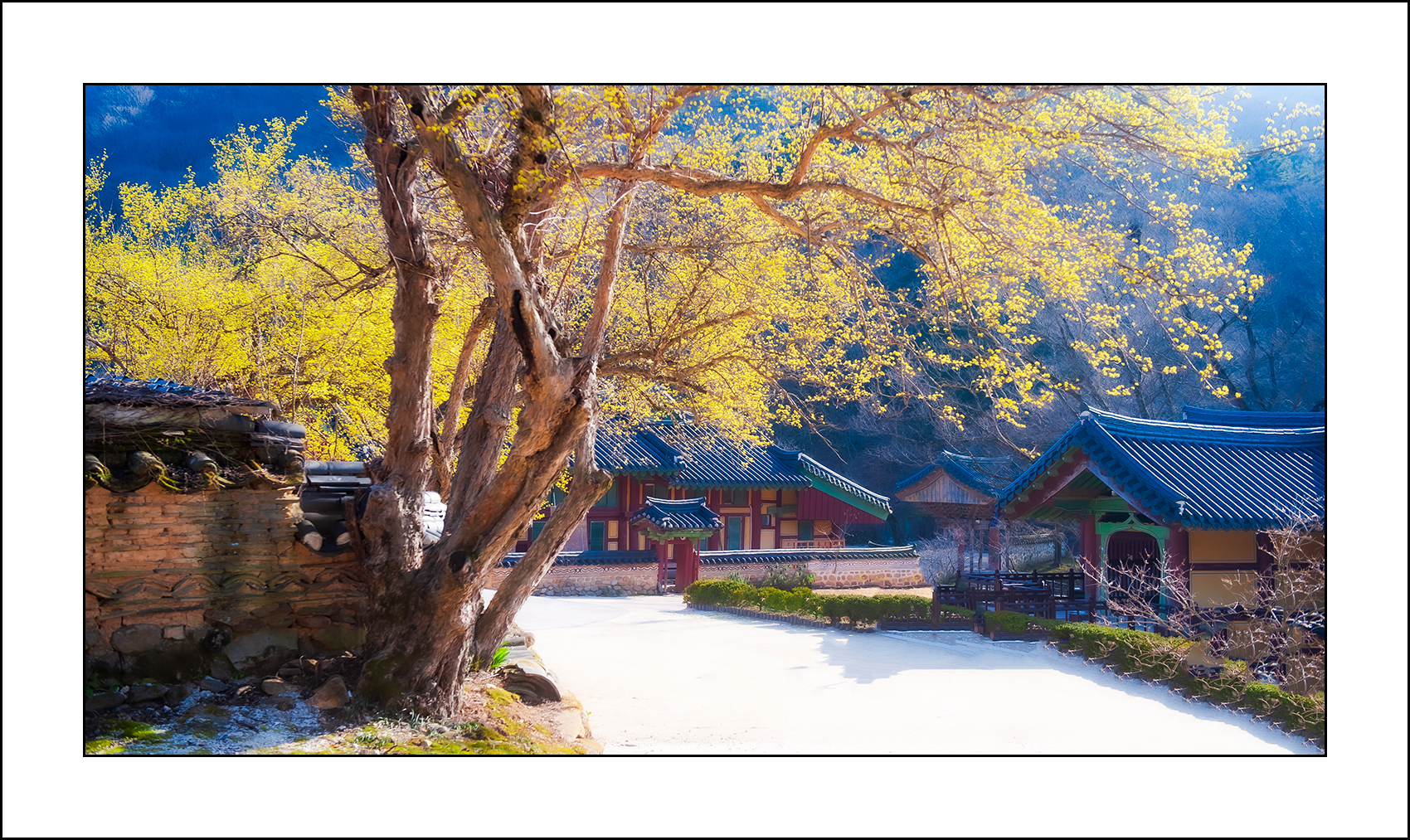   | PHOTO BY : 삿갓/정봉식  |